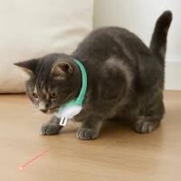 H - COLLAR CON LASER PARA MASCOTAS